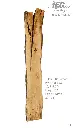 Slab Live Edge type wood PRES-01