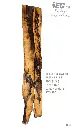 Slab Live Edge type wood PRES-03