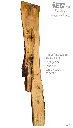 Slab Live Edge type wood PRES-10