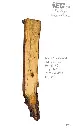 Slab Live Edge type wood PRES-16
