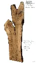 Slab Live Edge type wood PRES-49
