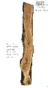 Slab Live Edge type wood PRES-53