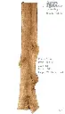 Slab Live Edge type wood PRES-54