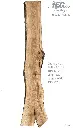 Slab Live Edge type wood PRES-56