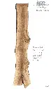 Slab Live Edge type wood PRES-57