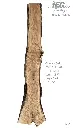Slab Live Edge type wood PRES-59