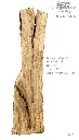 Slab Live Edge type wood PRES-66