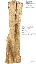 Slab Live Edge type wood PRES-67